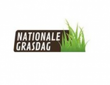 Disaghor groen